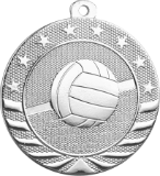 silver volleyball medal in the Starbrite style