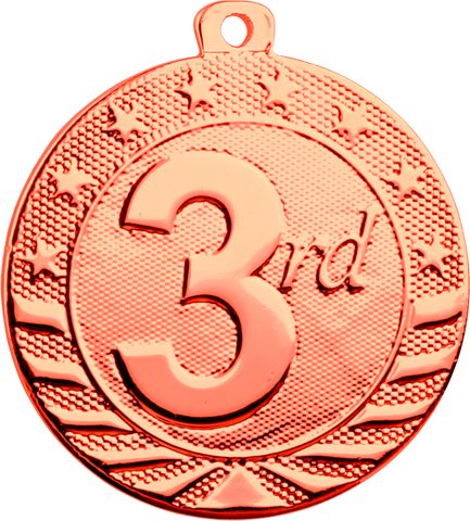 Bronze 3rd Place Medal in the Starbrite Style
