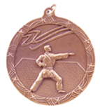 bronze karate medal in the Shooting Star style