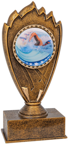 swimming trophy in the blaze style