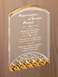 Horizon Acrylic - General Service Award