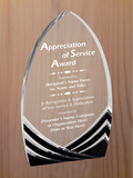 Soaring Cathedral Acrylic - General Service Award