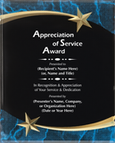 Acrylic Plaque with Marble and Shooting Star Accent - General Service Award