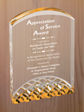 Horizon Acrylic - Board Member Service Award