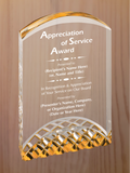 Horizon Acrylic - Board Member Service Award