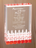 Mirage Acrylic - Board Member Service Award