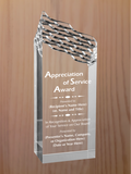 Riptide Acrylic - Board Member Service Award