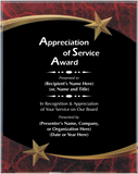 Acrylic Plaque with Marble and Shooting Star Accent - Board Member Service Award
