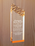 Riptide Acrylic - Community Service Award