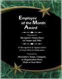 Acrylic Plaque with Marble and Shooting Star Accent - Employee of the Month Award