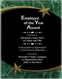 Acrylic Plaque with Marble and Shooting Star Accent - Employee of the Year Award