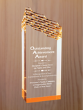 Riptide Acrylic - Outstanding Achievement Award