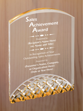 Horizon Acrylic - Outstanding Sales Award
