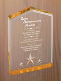 Star Point Acrylic - Outstanding Sales Award