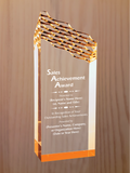 Riptide Acrylic - Outstanding Sales Award