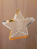 Star Performer Acrylic - Outstanding Sales Award