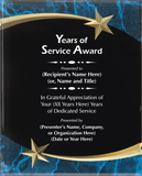 Acrylic Plaque with Marble and Shooting Star Accent - Years of Service Award