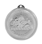 BriteLazer Swimming Medal