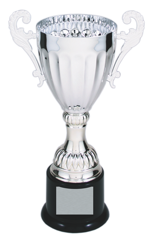Classic Cup Trophy, Small Silver