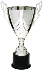 Wave Cup Trophy, Large Silver