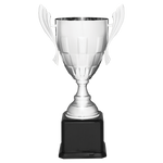 Giant Cup Trophy, Small Silver