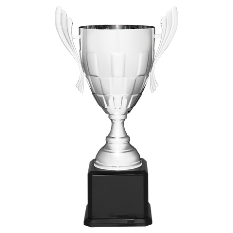 Giant Cup Trophy, Small Silver