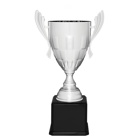 Giant Cup Trophy, Medium Silver