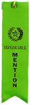 deluxe Honorable Mention green ribbon with info card attached to back side