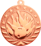 bronze bowling medal in the Starbrite style