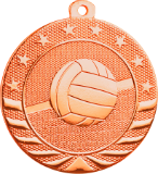 bronze volleyball medal in the Starbrite style