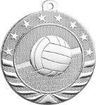 silver volleyball medal in the Starbrite style