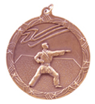 bronze karate medal in the Shooting Star style