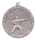 silver karate medal in the Shooting Star style
